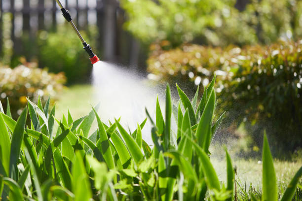 24/7 Emergency Ant Control experts in Rockwood, MI