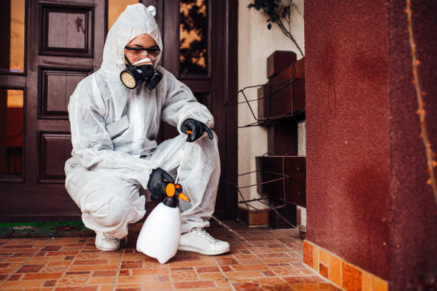 Reliable Ant Control contractor in Rockwood, MI by Nex Pest Control