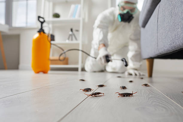 Trusted Cockroach Control service in Rockwood, MI - Nex Pest Control
