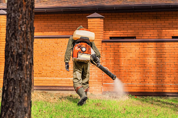 Trusted Emergency Pest Control service in Rockwood, MI - Nex Pest Control